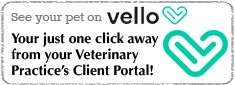 Pet Portal